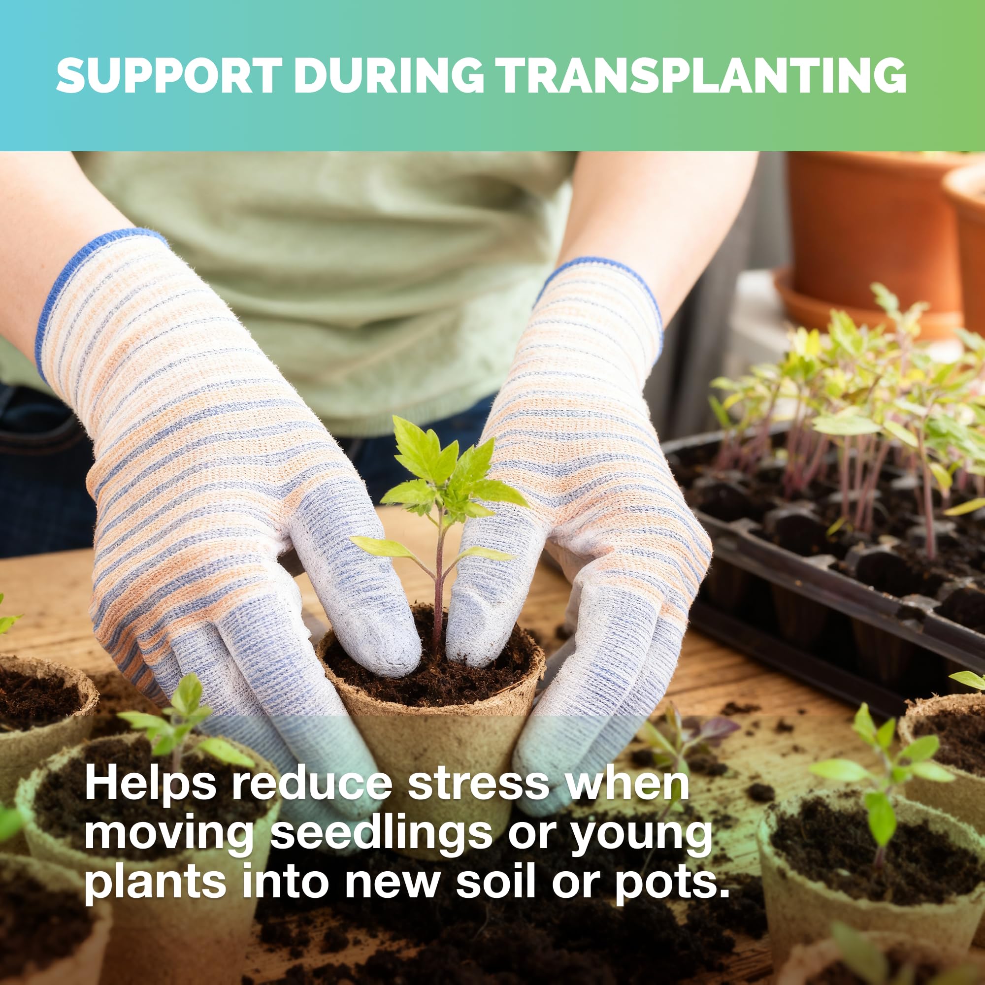 TPS NUTRIENTS Starter Plant Fertilizer root-establishment helps strong root growth.
