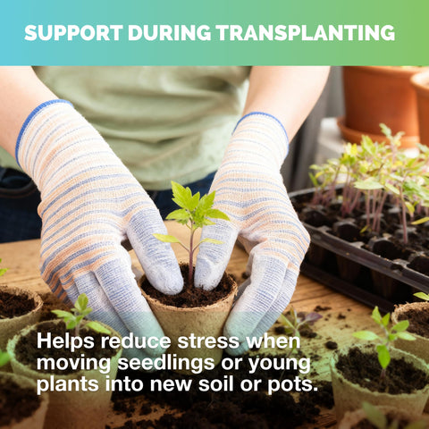 TPS NUTRIENTS Starter Plant Fertilizer root-establishment helps strong root growth.