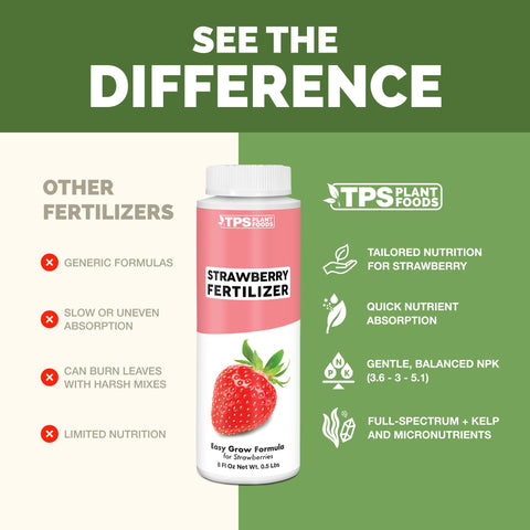 TPS Nutrients Strawberry Fertilizer used on a container strawberry plant