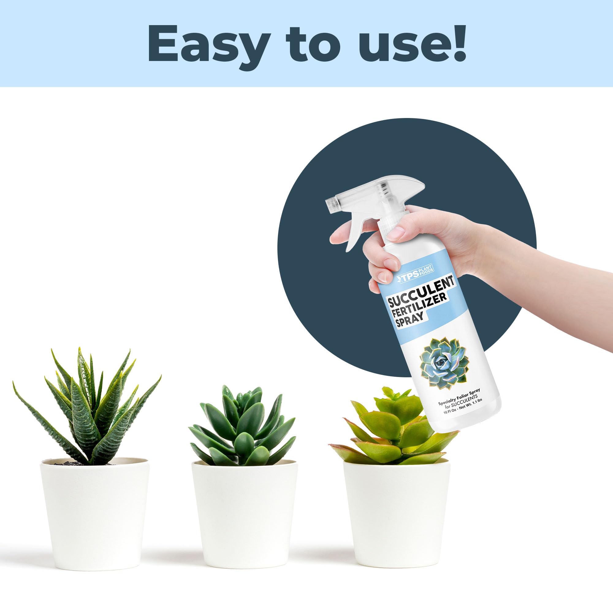 TPS NUTRIENTS Succulent Fertilizer Spray during routine care for simplicity