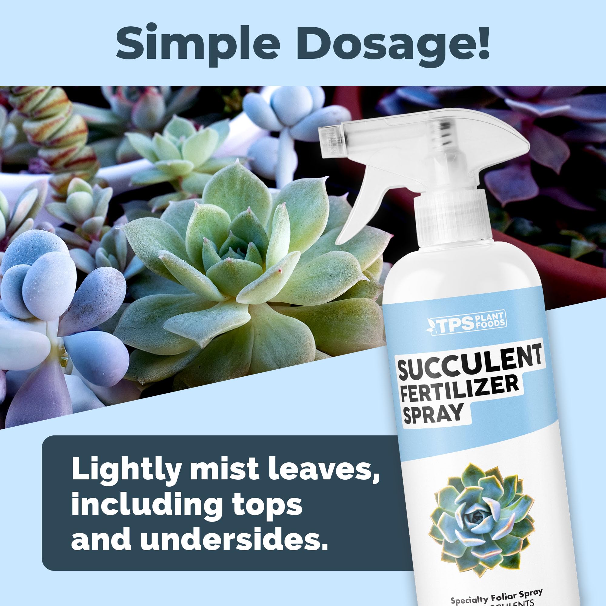TPS NUTRIENTS Succulent Fertilizer Spray leaf close-up shows healthy foliage