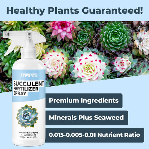 TPS NUTRIENTS spray mist on succulent leaves for even absorption