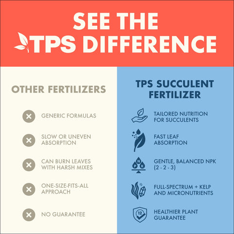 TPS NUTRIENTS Succulent Plant Food healthy leaves on a thriving succulent.