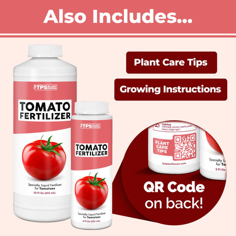 TPS NUTRIENTS thriving tomato plants with lush vines and developing fruit after feeding