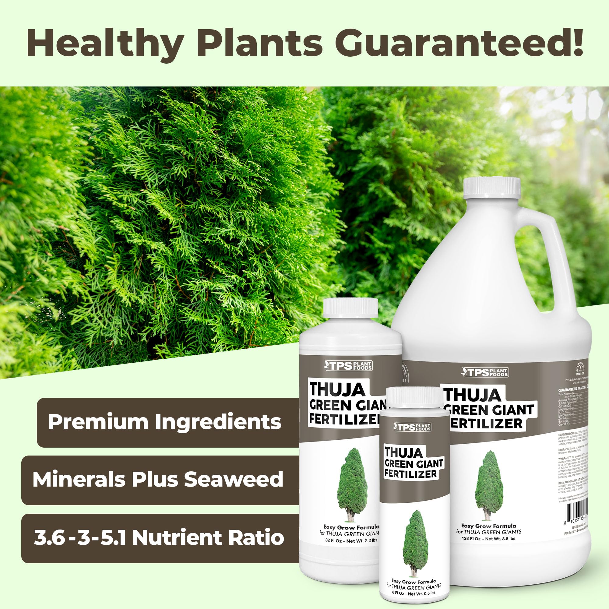 TPS NUTRIENTS Thuja Green Giant Fertilizer hose-end application for even feeding