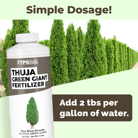 TPS Nutrients Thuja Green Giant Fertilizer hose-end sprayer application for efficient feeding