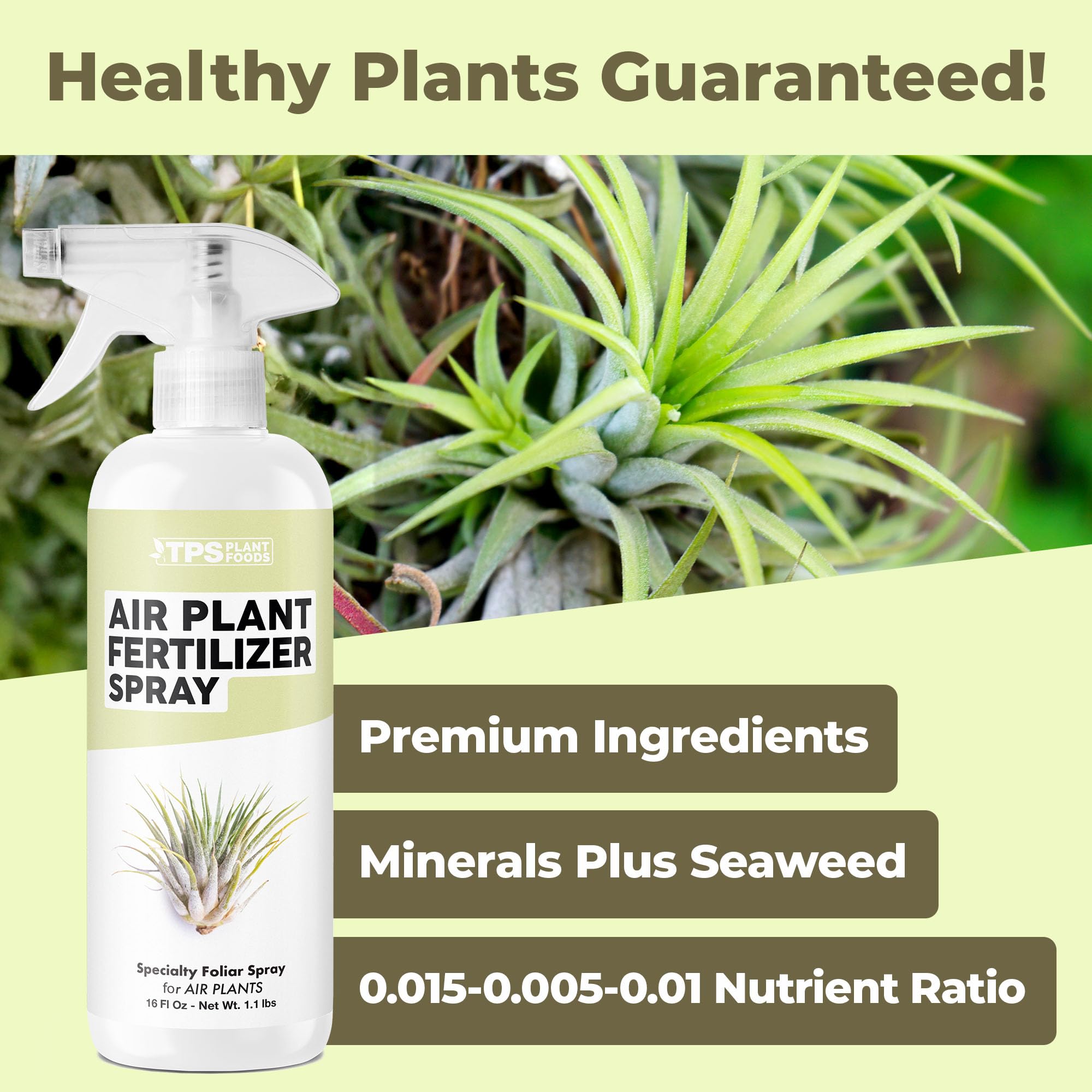 TPS NUTRIENTS tilandsia care mist application on healthy leaves
