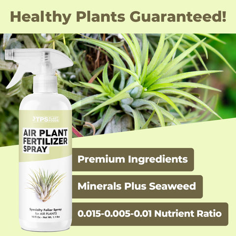 TPS NUTRIENTS tilandsia care mist application on healthy leaves