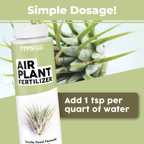 TPS NUTRIENTS liquid fertilizer bottle in terrarium supports balanced growth.