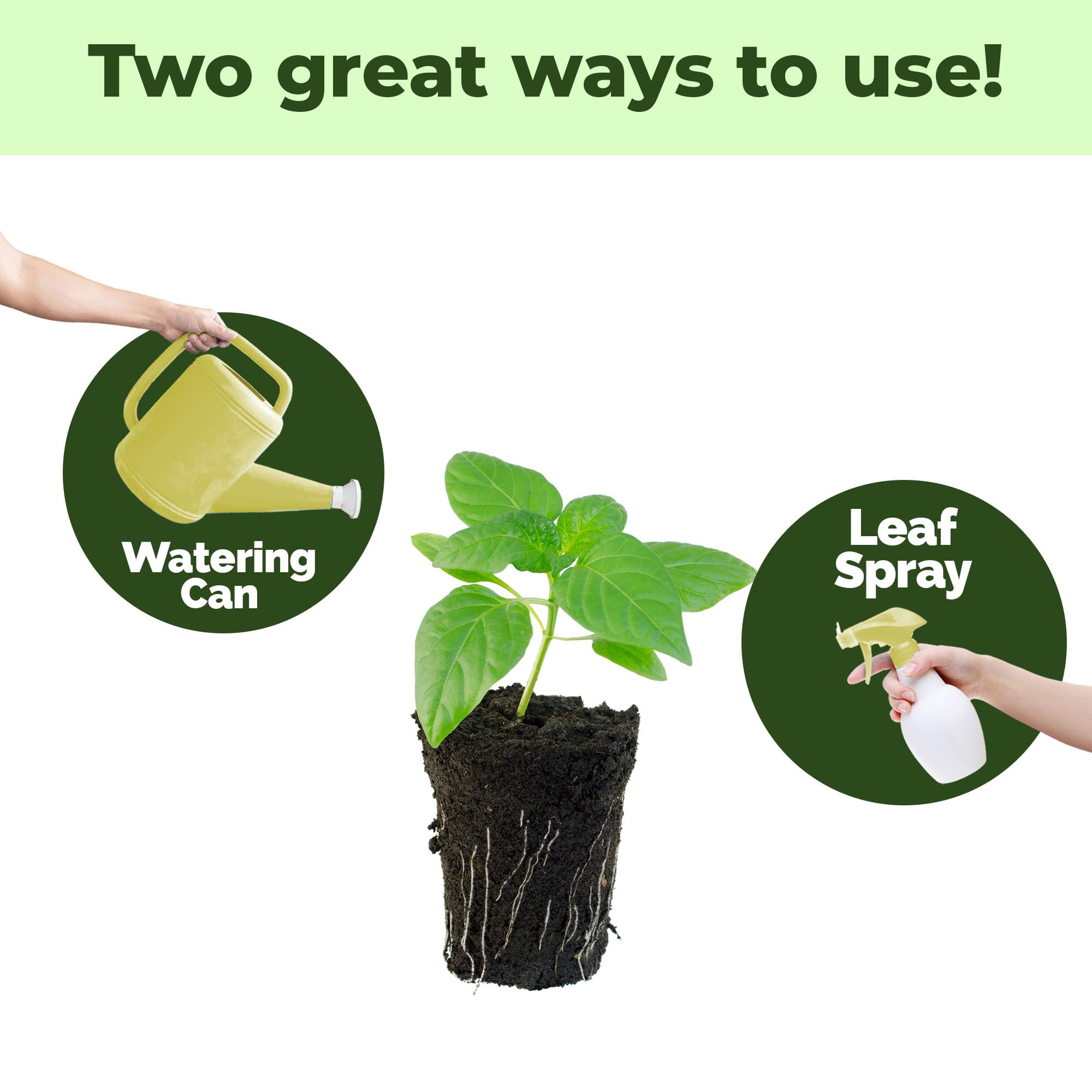 TPS NUTRIENTS Transplant Fertilizer assists transplant setup in pots or beds