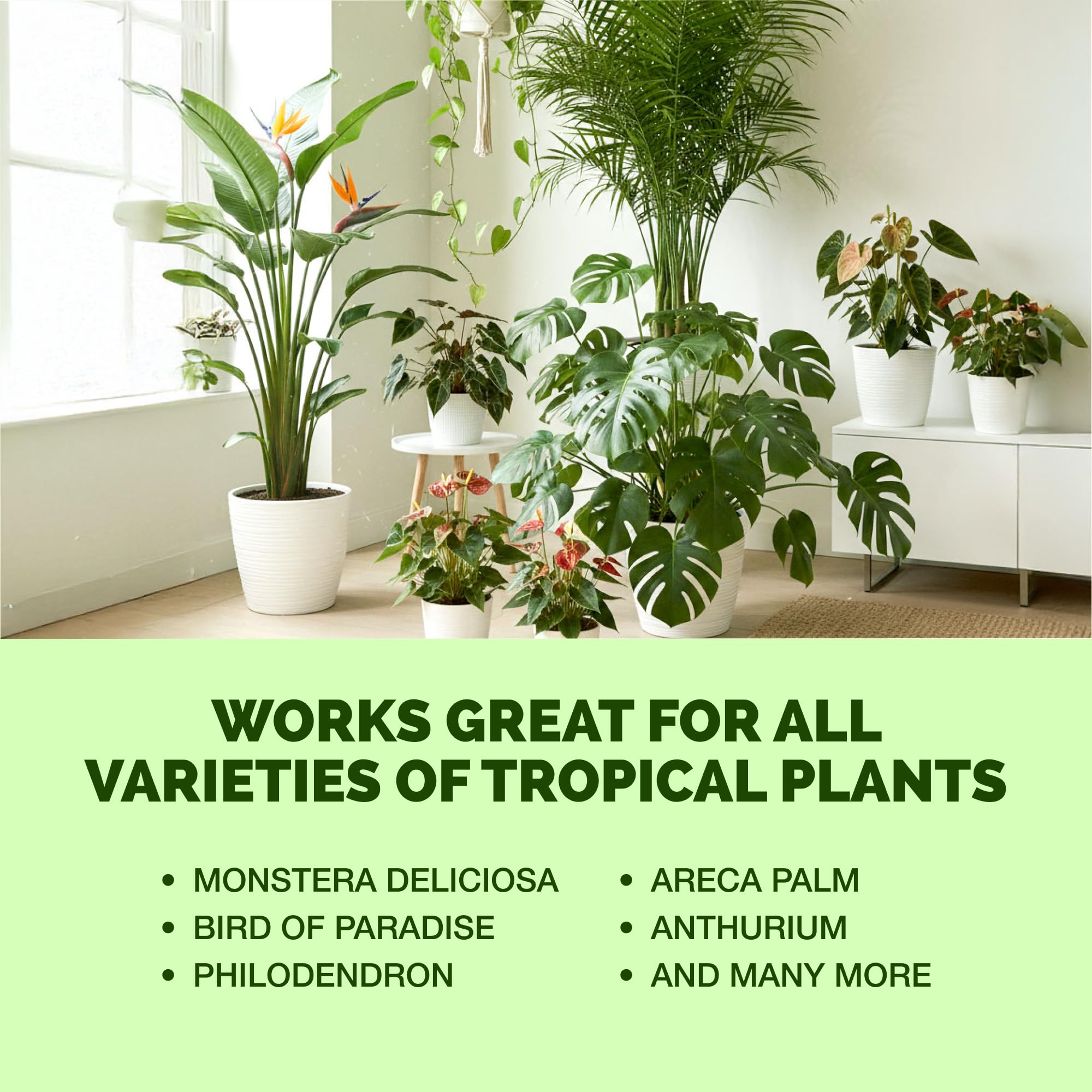 Step-by-step application of TPS NUTRIENTS tropical plant fertilizer