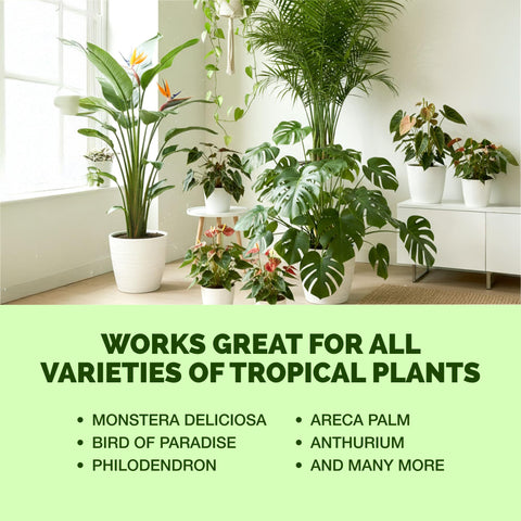 Step-by-step application of TPS NUTRIENTS tropical plant fertilizer