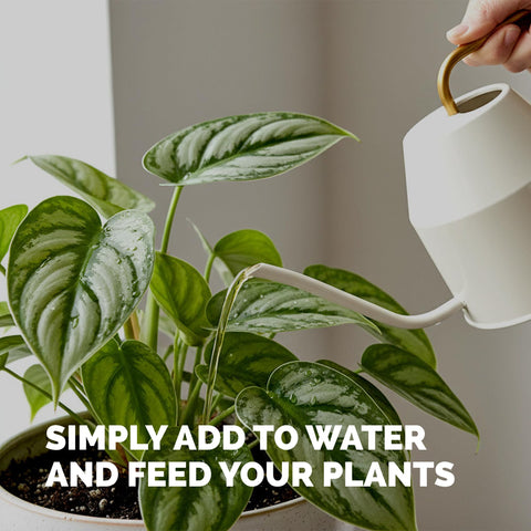 Made in USA TPS NUTRIENTS tropical plant fertilizer