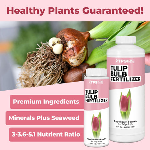 TPS NUTRIENTS Tulip Bulb Fertilizer rooting supports sturdier bulb development