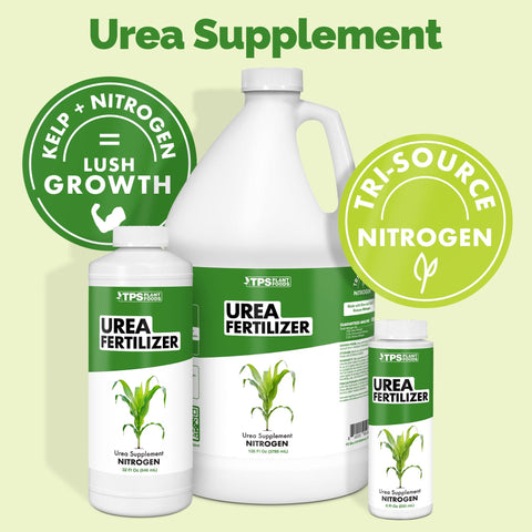 Applying urea fertilizer to lawn with a spreader for rapid uptake