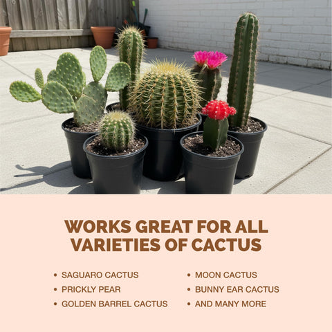 USA-made TPS NUTRIENTS cactus fertilizer bottle ensures trusted quality.