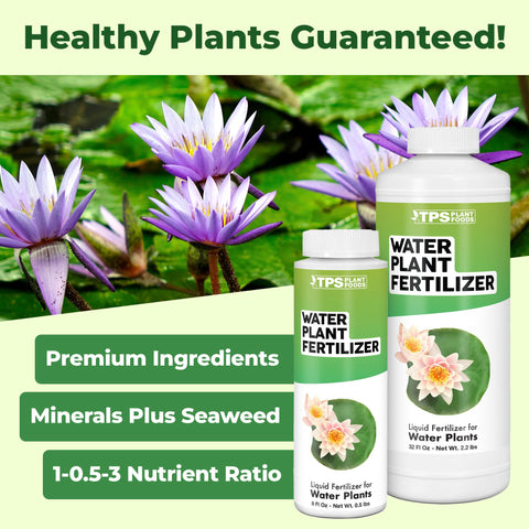 TPS NUTRIENTS water plant fertilizer leaf-growth close-up encourages vibrant foliage
