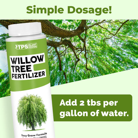 TPS NUTRIENTS Willow tree healthy foliage with strong leaves and canopies.