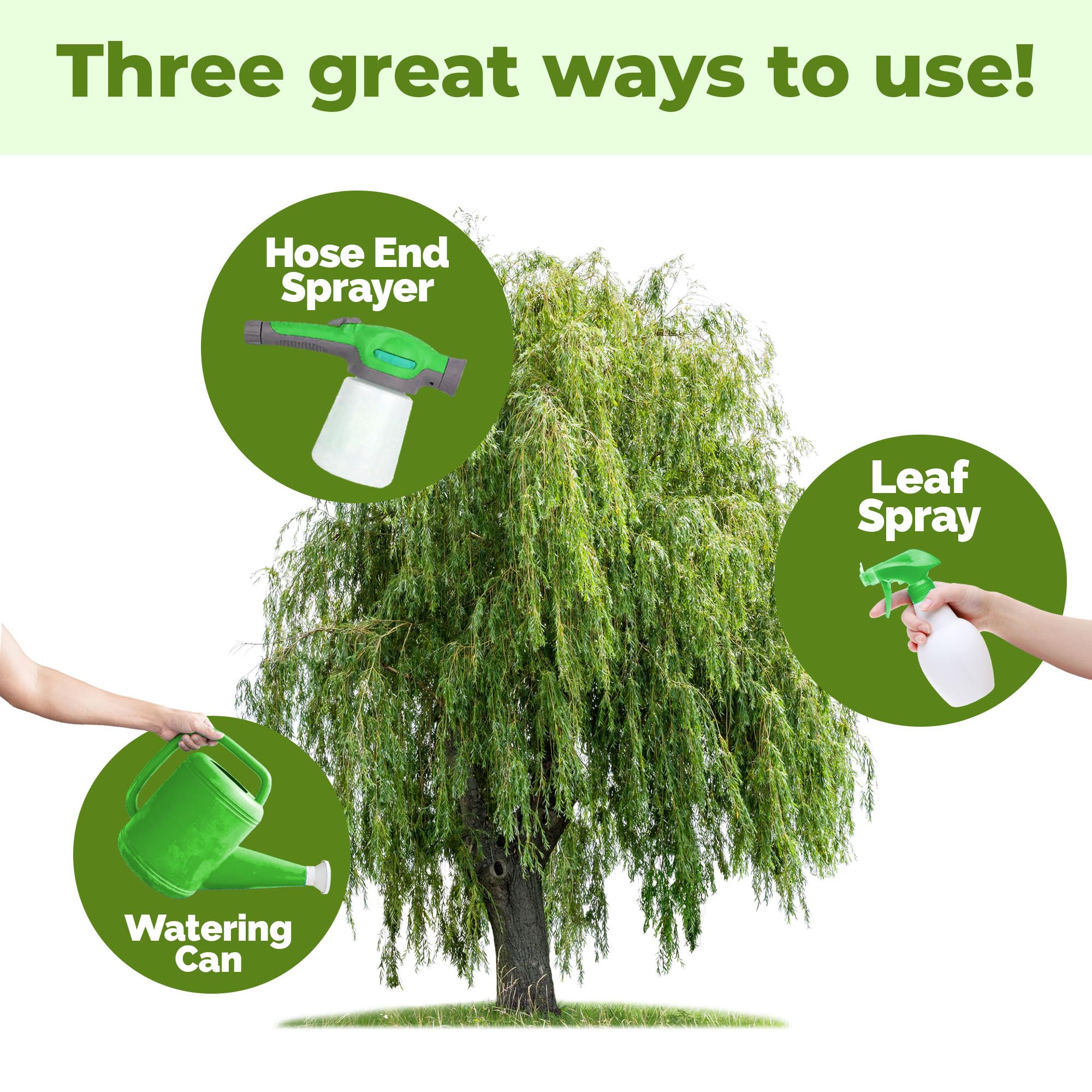 TPS NUTRIENTS Willow tree root growth promoted by balanced nutrition.
