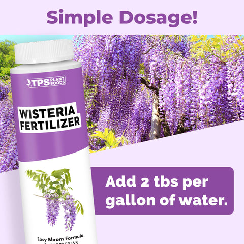 TPS NUTRIENTS Wisteria Fertilizer being mixed for consistent soil uptake.