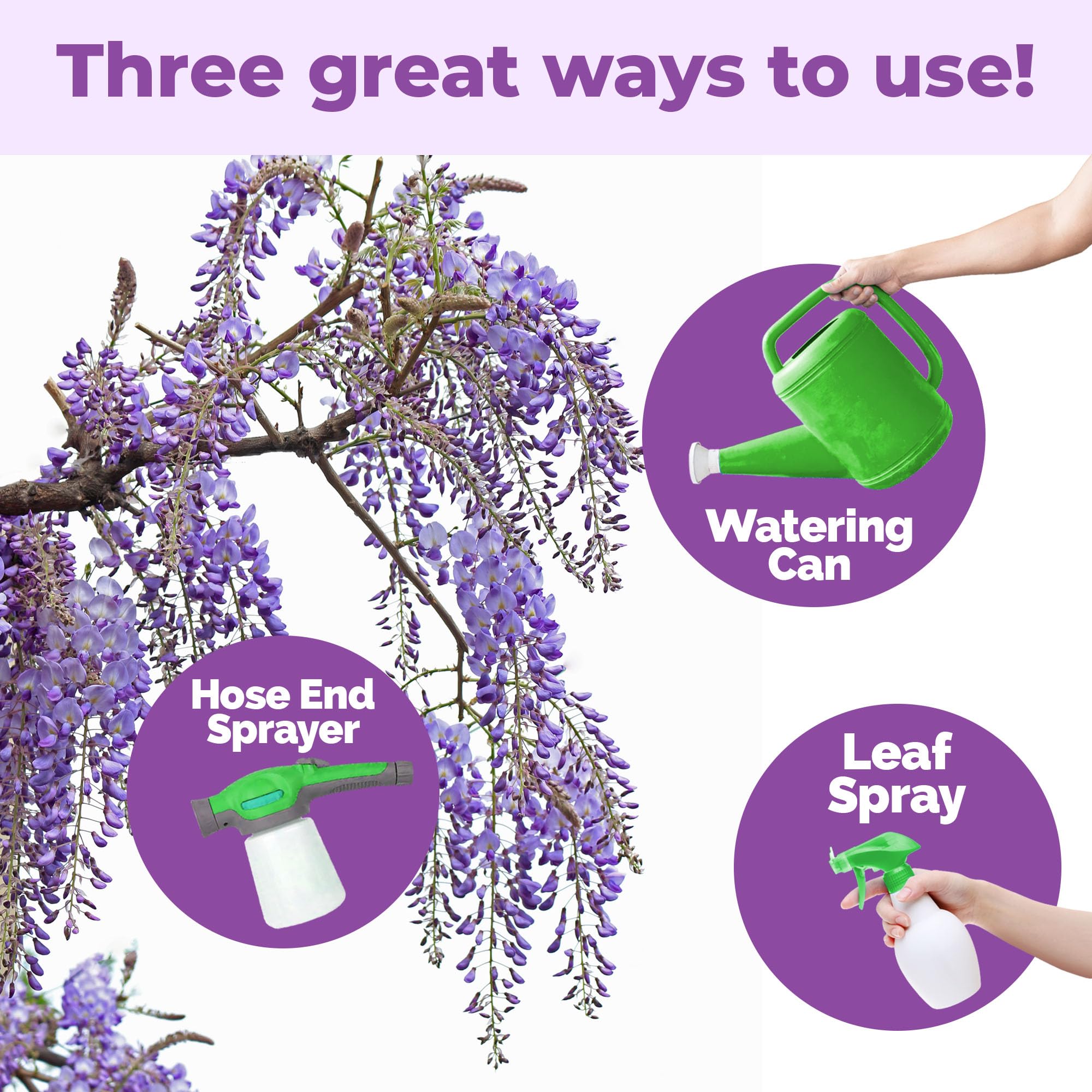 TPS NUTRIENTS Wisteria Fertilizer feeding lush wisteria on an arbor.