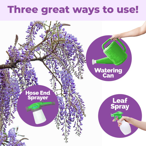 TPS NUTRIENTS Wisteria Fertilizer feeding lush wisteria on an arbor.