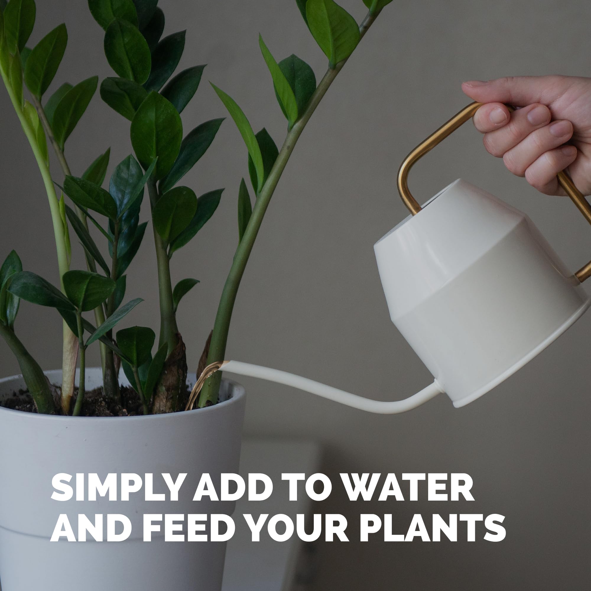 TPS NUTRIENTS ZZ Plant easy-dosing bottle enables simple feeding.