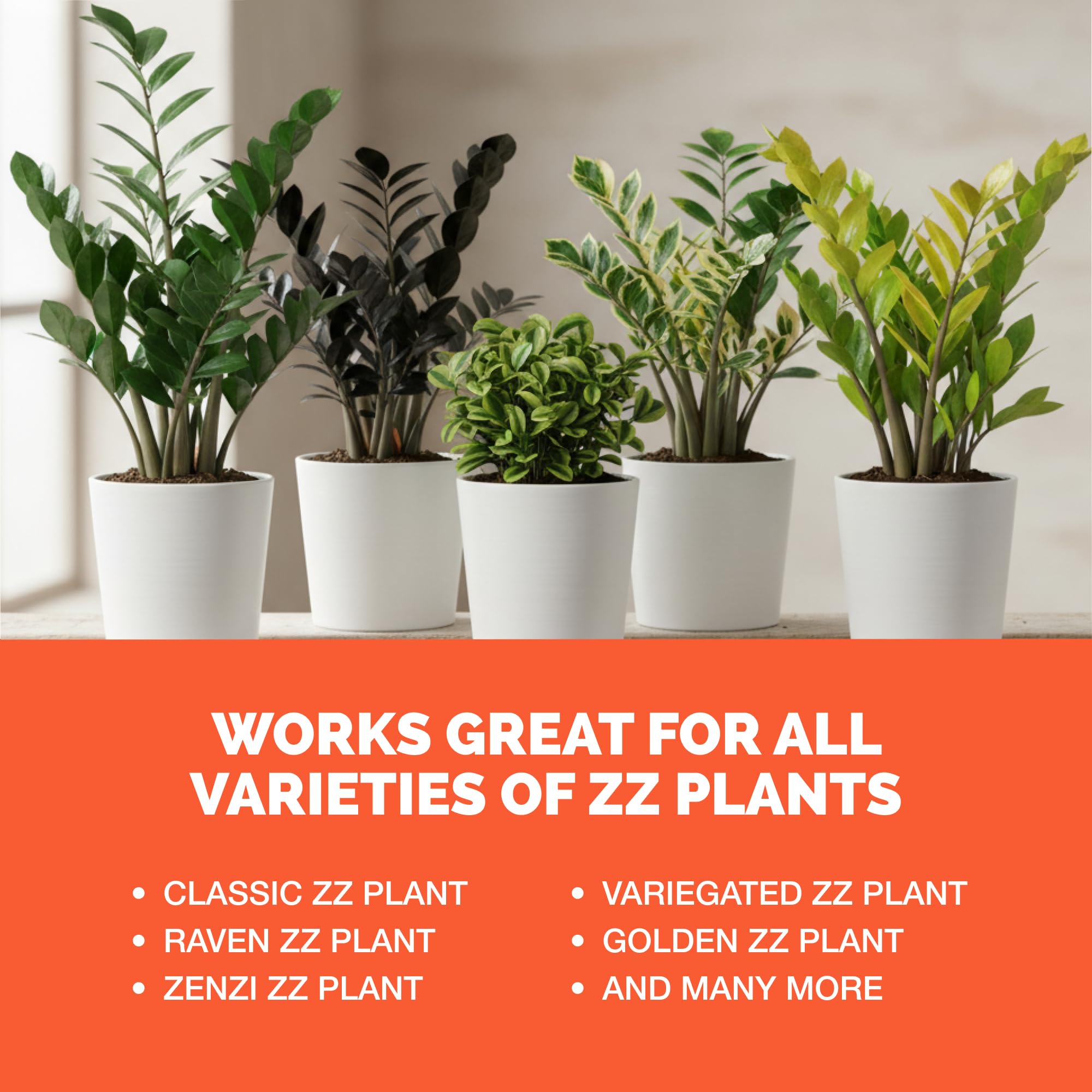 TPS NUTRIENTS ZZ Plant indoor-use formula nourishes thriving leaves.