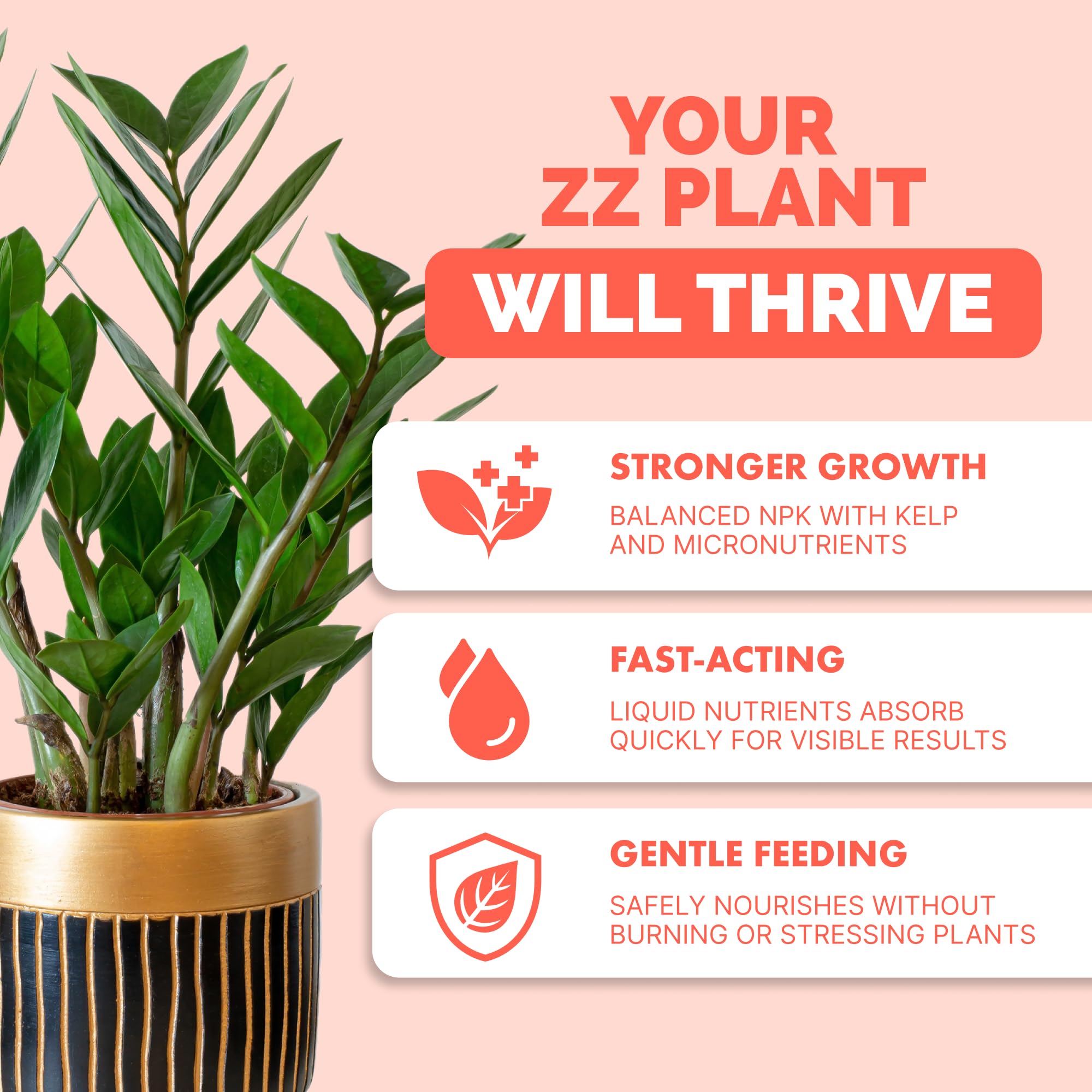 TPS NUTRIENTS ZZ Plant Liquid Food spreads evenly for glossy leaves.