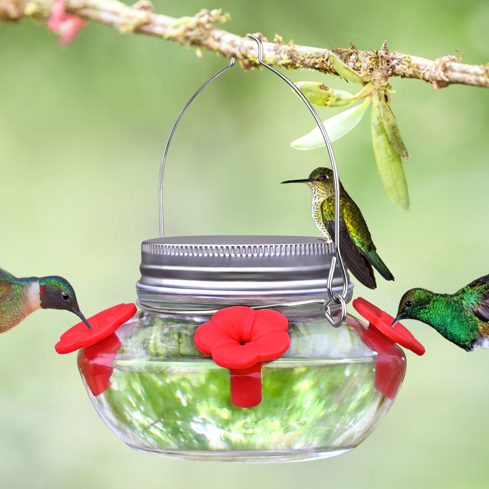 TPZAERK glass hummingbird feeder with mason jar shape as elegant garden decor