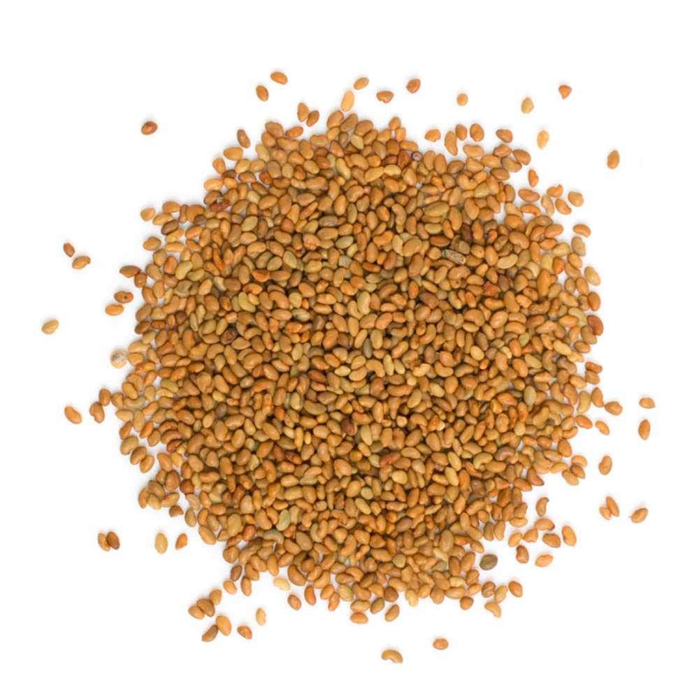 TradeKing alfalfa sprouts in a microgreen tray ready for fresh salads