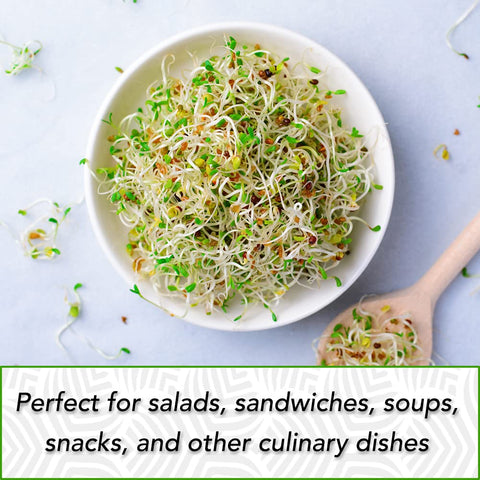 TradeKing alfalfa sprouts in a bowl, crisp topping for meals