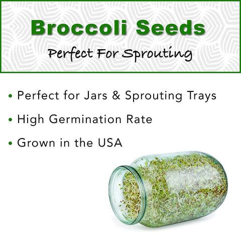 TradeKing broccoli sprouting seeds closeup highlighting high germination rate.