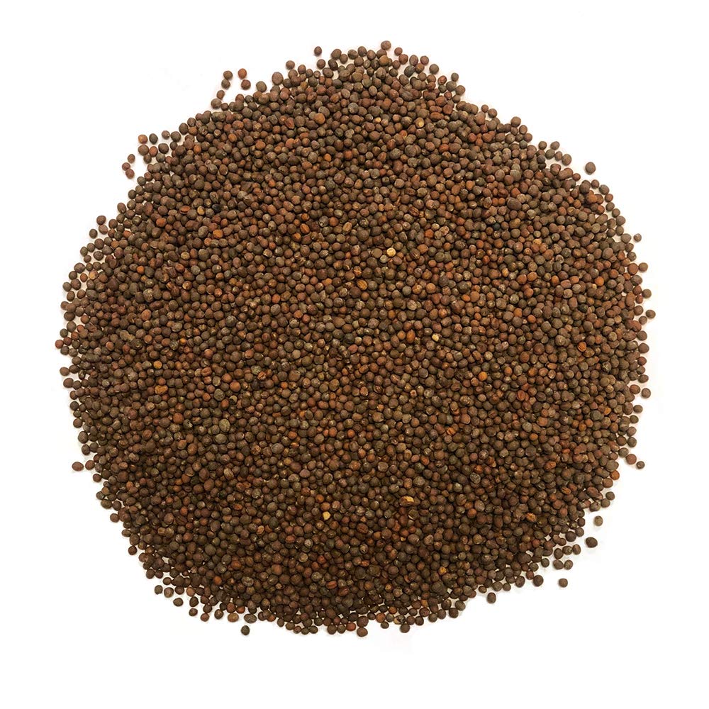 TradeKing broccoli sprouts on counter, perfect for microgreen trays and quick harvest.