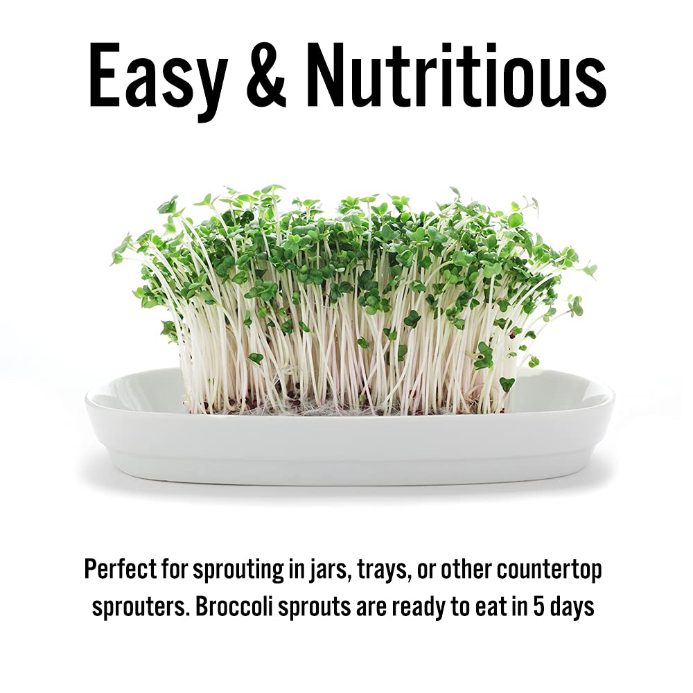 TradeKing resealable bag keeps broccoli sprouts fresh and ready for daily use.
