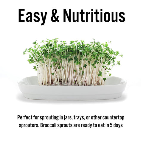 TradeKing resealable bag keeps broccoli sprouts fresh and ready for daily use.