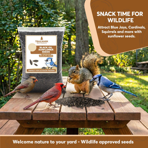 Trailmark Naturals sunflower seeds for hopper feeders support year-round backyard birds.