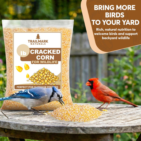 TRAILMARK Naturals cracked corn at outdoor feeder attracting cardinals.