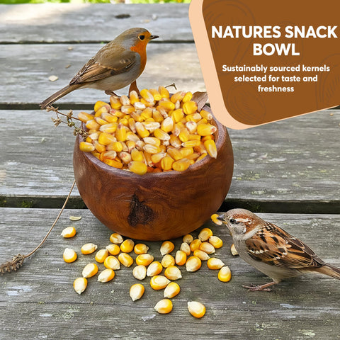 TRAILMARK Naturals duck-squirrel-deer-corn supports local wildlife as a versatile feed option