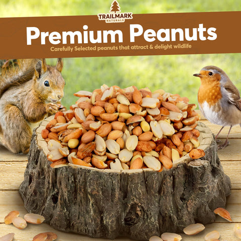 Trailmark Naturals out-of-shell peanuts attract wild birds like blue jays and woodpeckers.