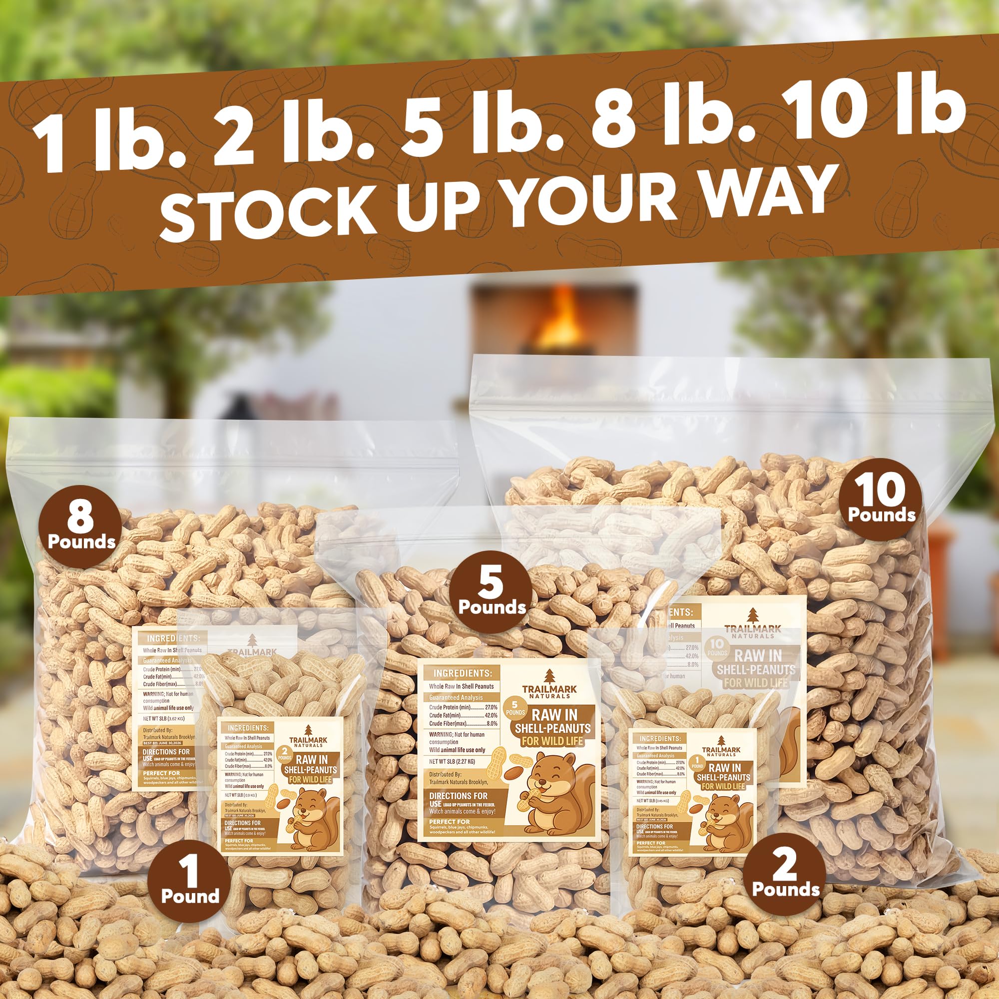 Trailmark Naturals raw peanuts in shell close-up; ideal for cracking and nibbling.