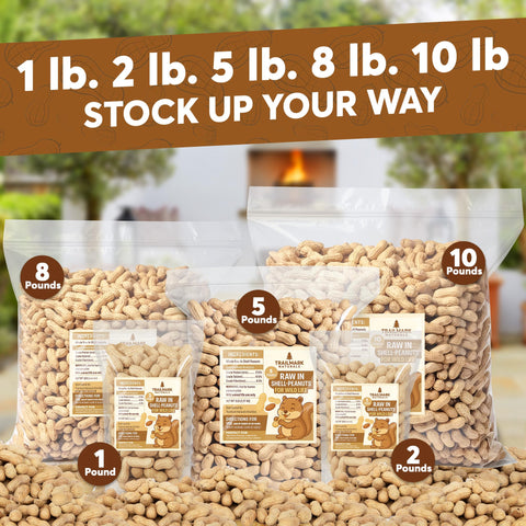 Trailmark Naturals raw peanuts in shell close-up; ideal for cracking and nibbling.