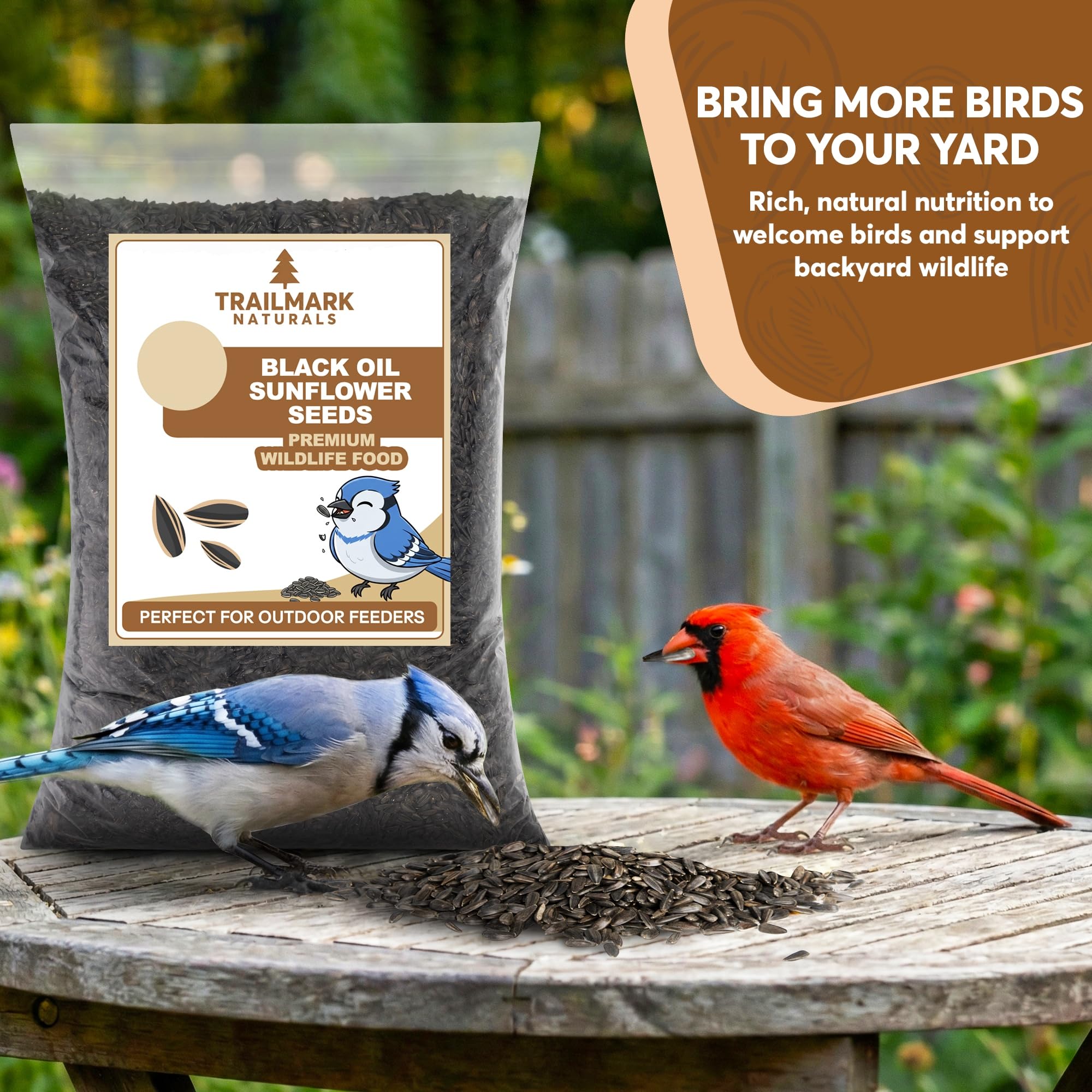 Trailmark Naturals sunflower seeds close-up highlighting quality for birds