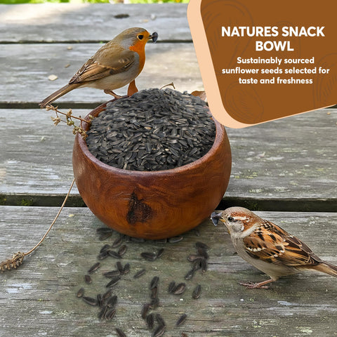 Trailmark Naturals birds feeding in yard attracted by premium seeds