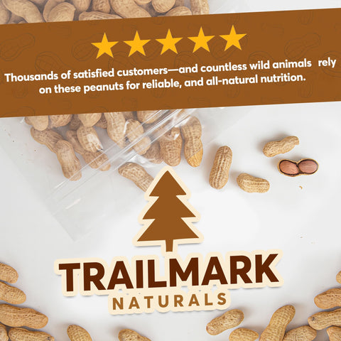 Trailmark Naturals wildlife feeding setup with raw peanuts; supports outdoor feeders.