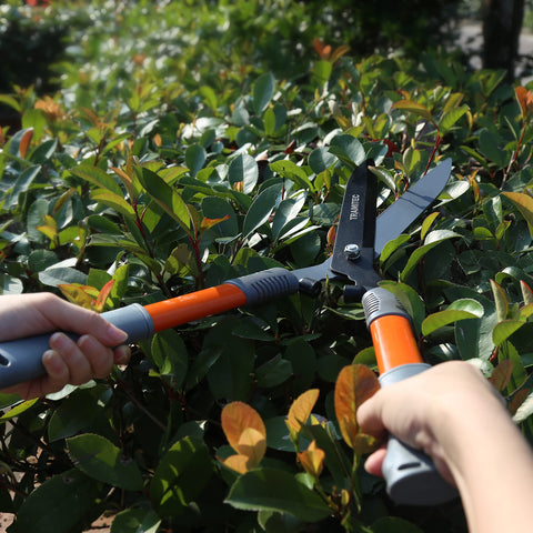TRAMITEC 21-inch hedge shears extend reach for larger shrubs with steady control.