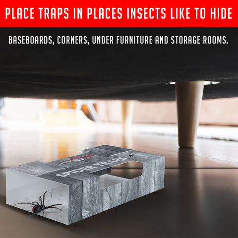 TRAP A PEST 30-trap pack designed to target spiders, roaches, scorpions