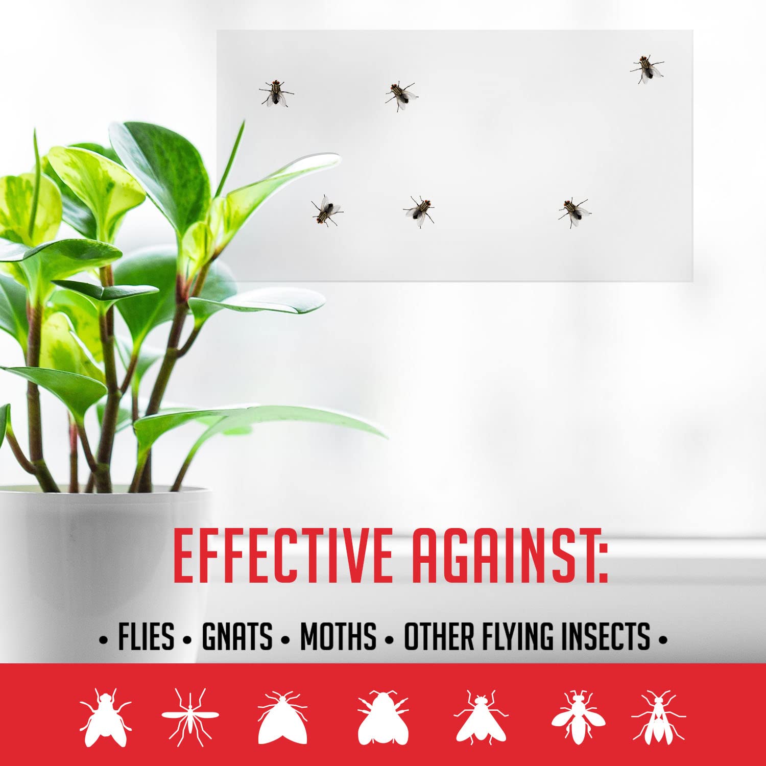 TRAP A PEST non-toxic, odor-free design ideal for families