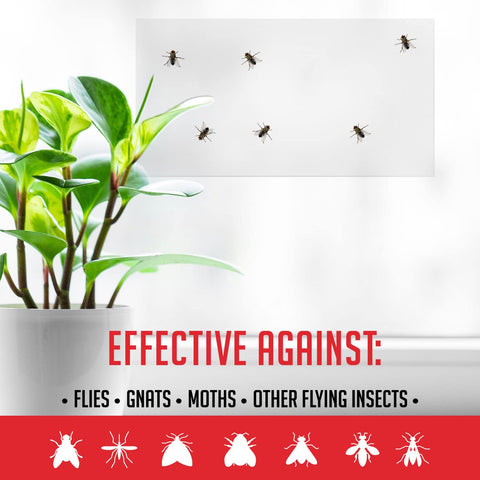 TRAP A PEST non-toxic, odor-free design ideal for families