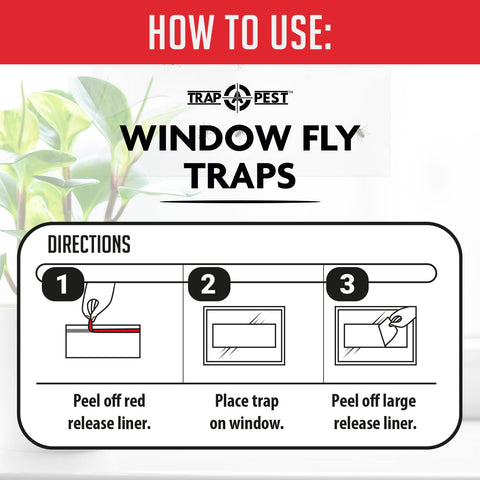 TRAP A PEST kitchen window traps capture gnats and flies
